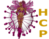 [HCP] SAMBA RAVE PINK BUNDLE