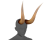 Horns deer 1