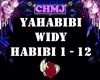 WIDY - Yahabibi