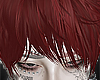 𝟭. Bil red