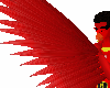 robin wings