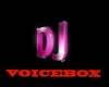 DJ voicebox 