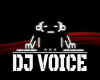 dj voice