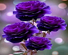 purple roses