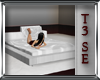 T3 Romance Lux Bed-White