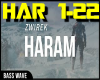 ZwiReK - Haram