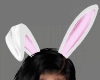 Bunny Ears White
