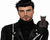 dark gray cat - shoulder