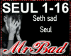 Seth Sad Seul