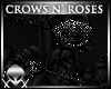 !Crow Roses ::