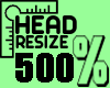 Head Resize 500% MF