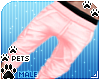 [Pets] Shorts | rose