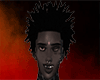 Freeform Dreads