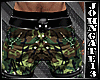 Camo Combat Pants /Boots