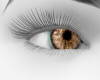 Light Brown Eyes