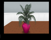 pink vase plant