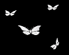 SL Butterflies Pet Anim