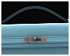 GRACE POUCH BAG (A)