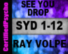 Ray Volpe - See you drop