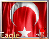 ₩ Ataturk Slide