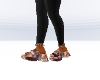 cc slides
