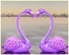 Flamingos In Love