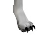 SL Furry Feet Paws F