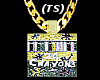 (TS) Gold Crayons Chain
