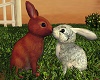 [MS] Baby Rabbits