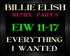 BillieElish~Everything 2