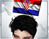 Croatian flag