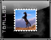 Wild Stalion Horse Stamp