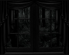 Dark Forest Window