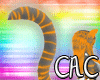 [C.A.C] Orange Tigi Tail