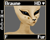 Braune Thicc Fur F