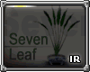 [IR] Seven Leaf