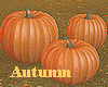 SM@Autumn Pumpkins!