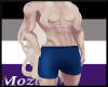 Himbo Shorts Blue