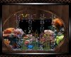 **DR Country  FishTank