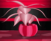 Cupids Crush Plant 2