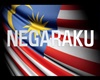 MALAYSIA FLAG