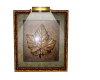 Zan's  leaf picture