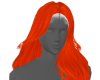 ginger spice #277 - ☆