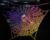 spider web animated