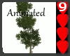 J9~Animated Huge Tree