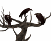 Vulture on the Tree