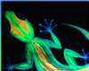 RobArt Gecko Glow