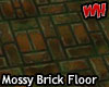 Mossy &Wet Brick Floor