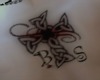 Anyskin tatoo BS