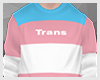 Trans Pride Sweater v1